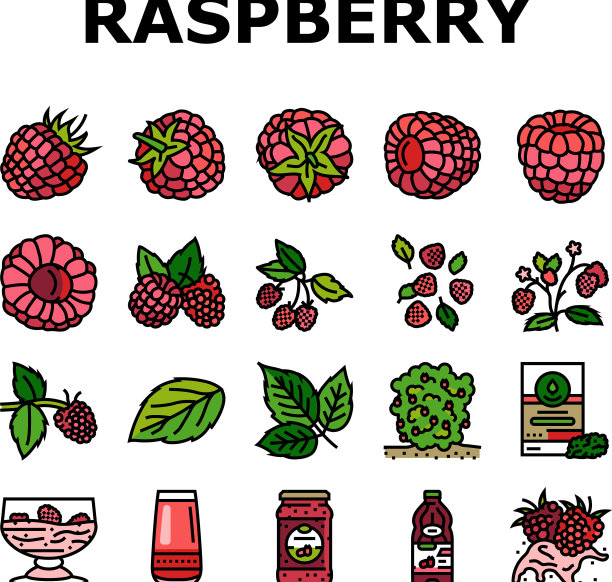 覆盆子水果浆果红色的食物图标设置图片下载