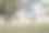 快乐的女人穿着白色西装，戴着太阳镜，和威尔士柯基犬在城市公园散步图片下载