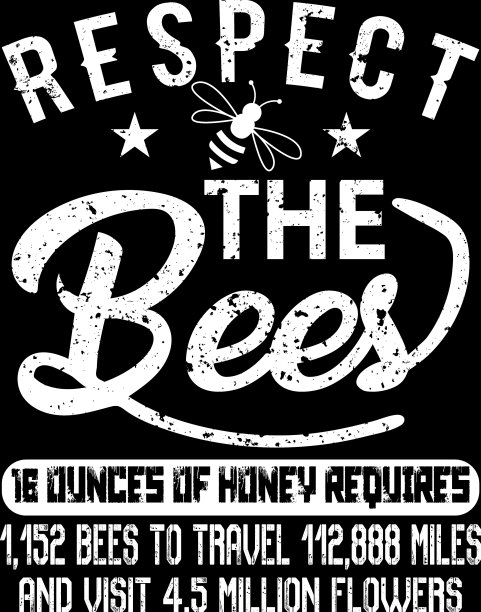 蜜蜂的t恤设计图片下载