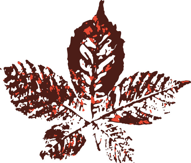 马栗子叶邮票。落叶的印记。秋天的模式。图片下载