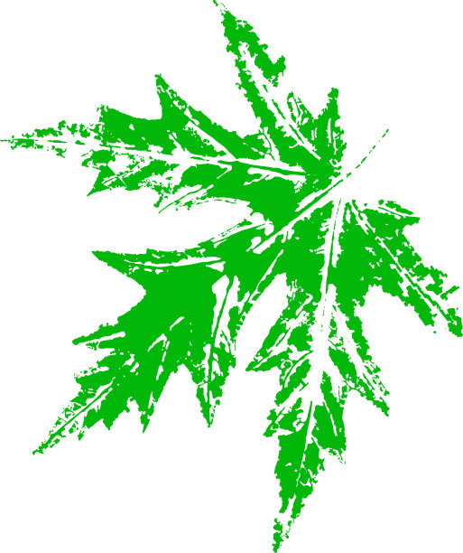 枫叶邮票。秋天落叶的印记。创造性的自然装饰。图片下载