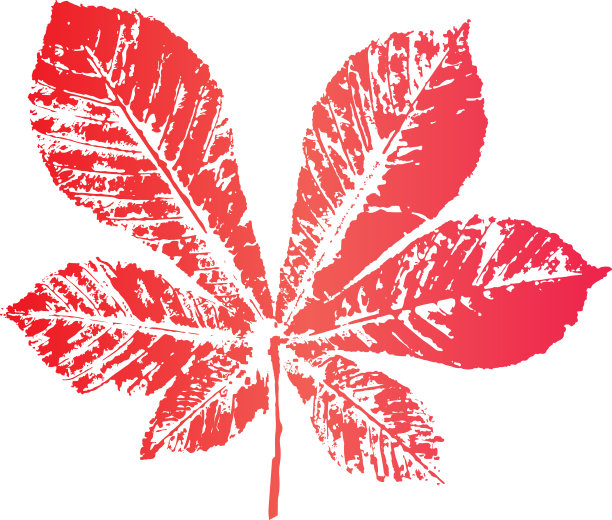 梯度叶邮票。落叶的印记。秋天的模式。图片下载