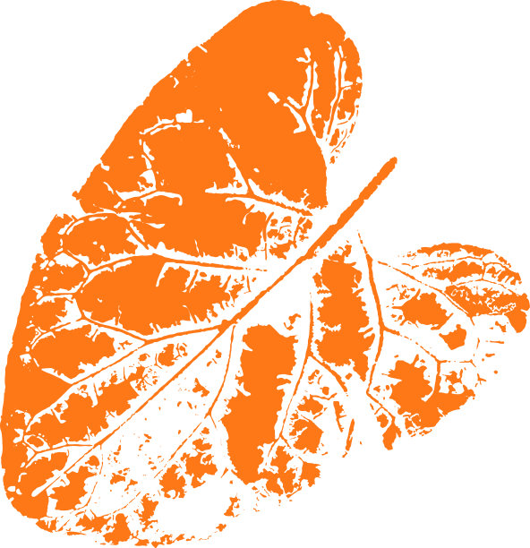 叶邮票。秋天落叶的印记。创造性的自然装饰。图片下载