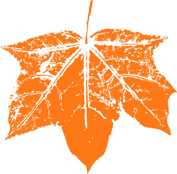 枫叶邮票。秋天落叶的印记。创造性的自然装饰。图片下载