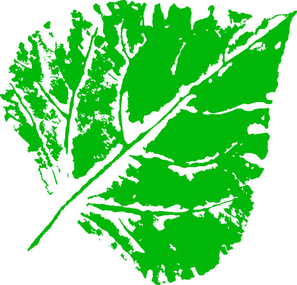 杨树的叶子邮票。秋天落叶的印记。创造性的自然装饰。图片下载