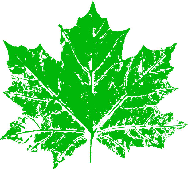 枫叶邮票。秋天落叶的印记。创造性的自然装饰。图片下载