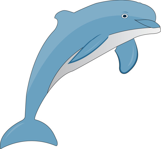 海豚艺术设计图片下载