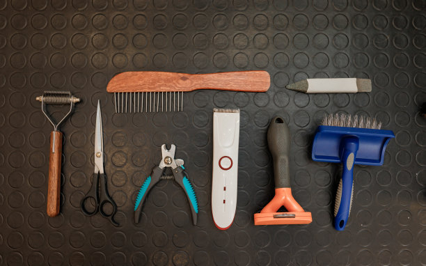 用于犬类梳理的配件如电动宠物剪、梳理剪刀、毛刷等。广告的概念是梳理和照顾狗。背景与复制空间的主题宠物护理图片下载