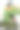 戴着墨镜和朋克发型的霸王龙图片下载