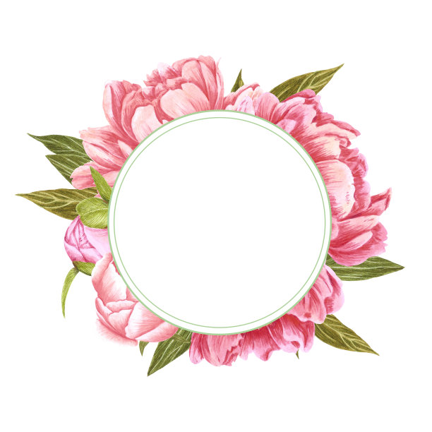 手绘水彩画粉色和红色牡丹花圆框与绿色的叶和芽在白色的背景。剪贴簿设计，婚礼请帖，标签，横幅，明信片。图片下载