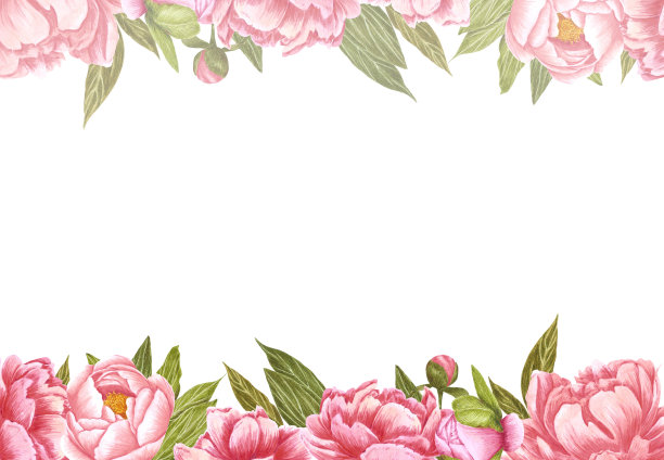 手绘水彩画粉色牡丹花框与绿色的叶和芽在白色的背景。剪贴簿设计，婚礼请帖，标签，横幅，明信片。图片下载
