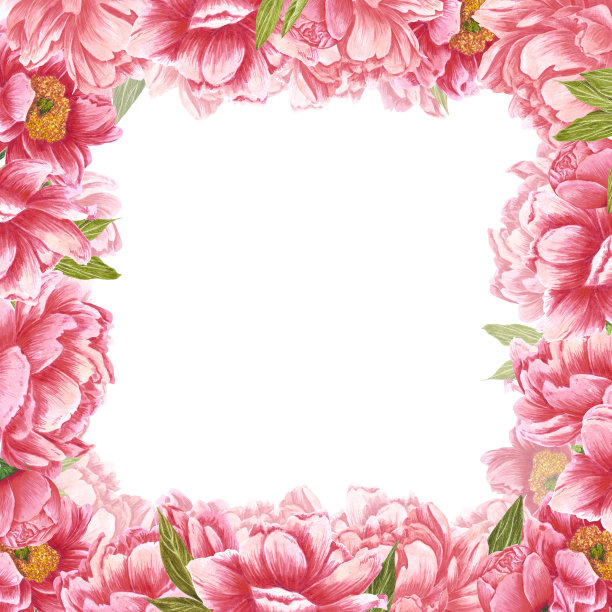 手绘水彩画粉色和红色牡丹花框架与绿色的叶和芽在白色的背景。剪贴簿设计，婚礼请帖，标签，横幅，明信片。图片下载