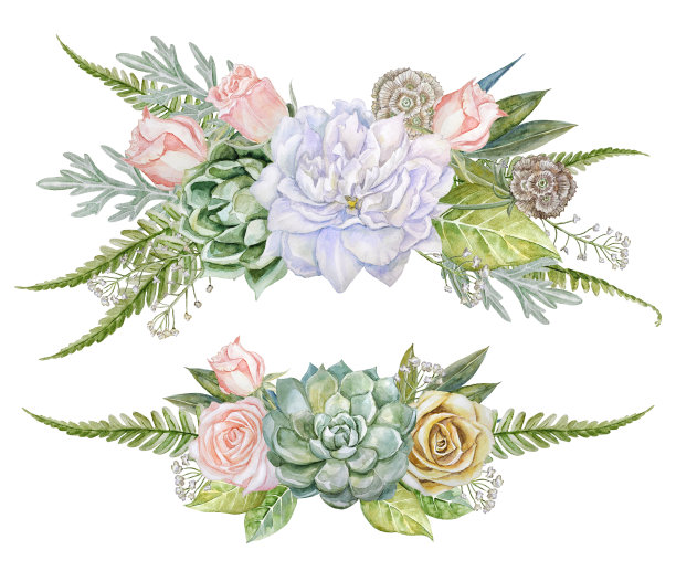 水彩画用花、多肉植物、干花和叶子组成的花。图片下载