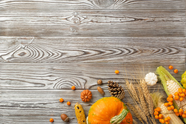 感恩节的概念。顶视图照片生的蔬菜南瓜玉米小麦松果罗文浆果和橡子在孤立的灰色木桌背景与复制空间图片下载