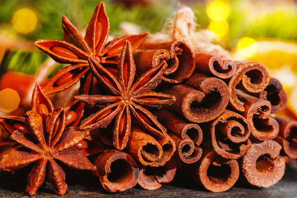 烹饪的食材，圣诞装饰的食材。在圣诞彩灯和冷杉树枝的背景上，有干橙子、肉桂棒和八角星。图片下载