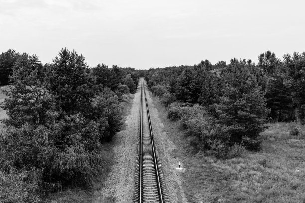 夏天森林里的老铁路图片下载