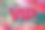 抽象自然奢华艺术，VIP文字的流体绘画，酒精墨技法。图像融合了大理石花岗岩的漩涡。图片下载