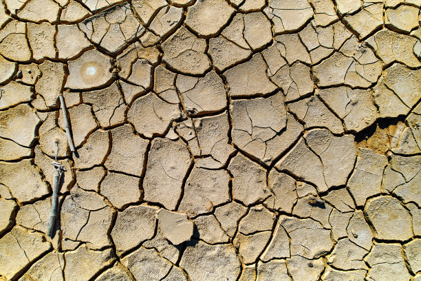 干燥的土地纹理表面背景，全帧拍摄图片下载