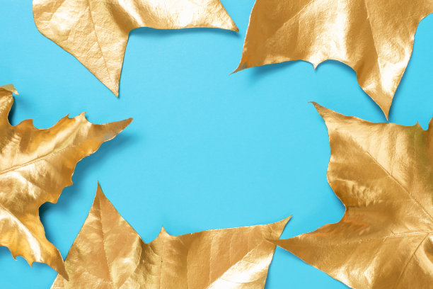 画框上用金色枫叶做成蓝色背景特写，复制空间。图片下载