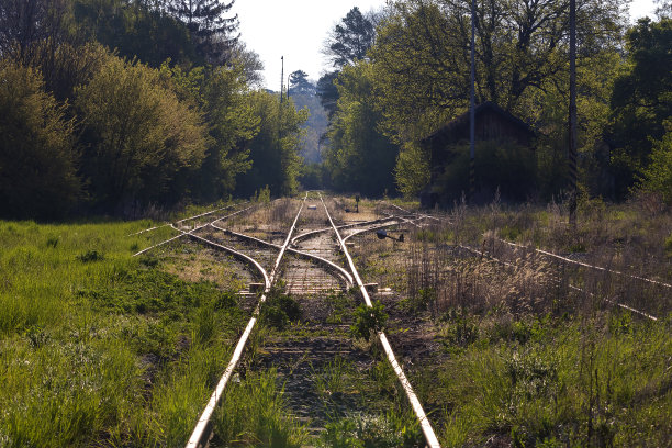 有开关的铁轨。铁轨上长满了草。背景中有树。图片下载