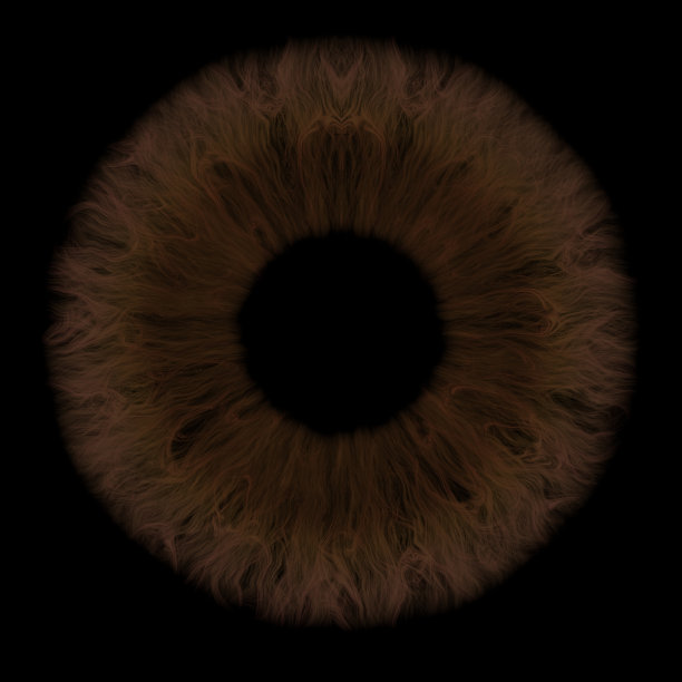 布朗虹膜图片下载