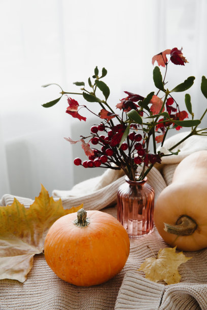 秋天惬意的心情构成。南瓜，花束，温暖的格纹。秋天，秋天，hygge家居装饰。垂直的照片。有选择性的重点。图片下载