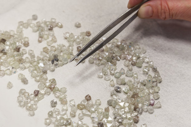 白色背景上的各种未加工钻石。图片下载