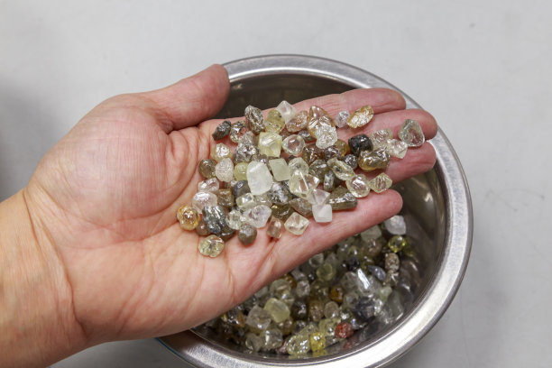 美丽的未经加工的钻石在女人的手中。图片下载