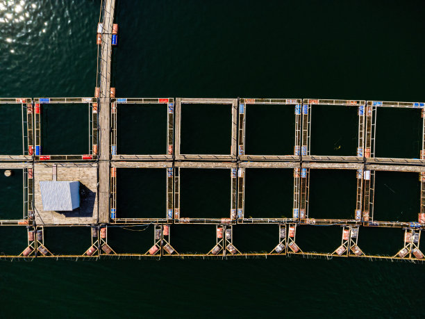 水产养殖农场。鱼、软体动物、虾之养殖图片下载