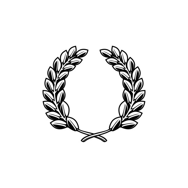 月桂树的叶子围着橄榄树的树枝图片下载