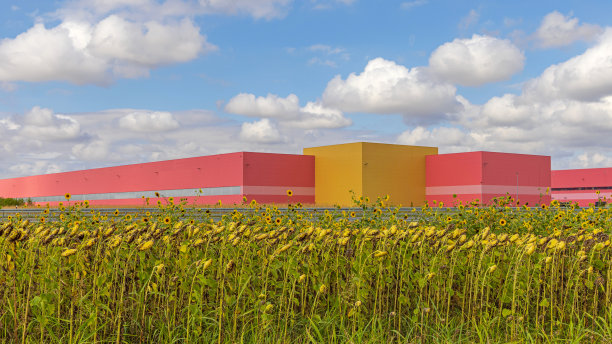 仓库大楼向日葵田图片下载