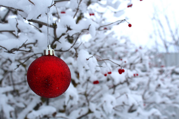 一个红色的圣诞玩具挂在一棵白雪覆盖的圣诞树上。图片下载