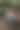 旧胶卷相机被隔离在木桌上图片下载