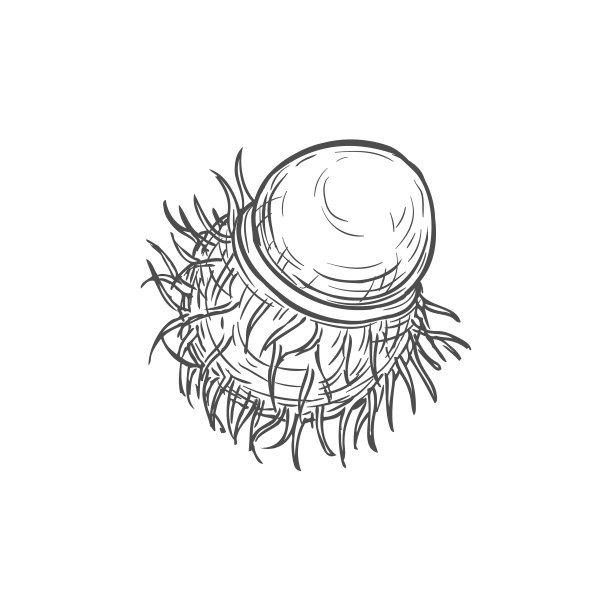去皮红毛丹热带水果孤立食品零食图片下载