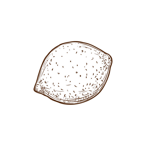 柠檬柑橘水果孤立手绘素描图片下载