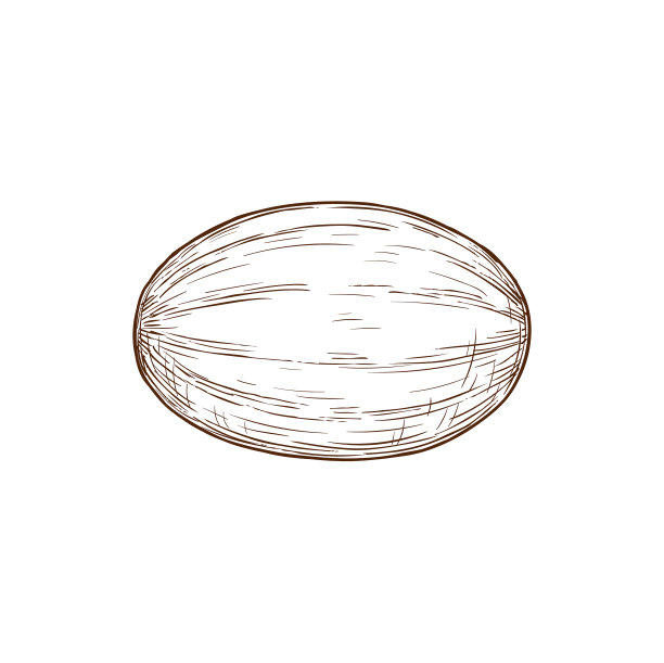 甜瓜孤立素描甜瓜果实图片下载