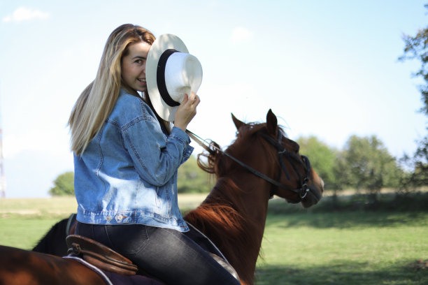 骑一匹马。图片下载