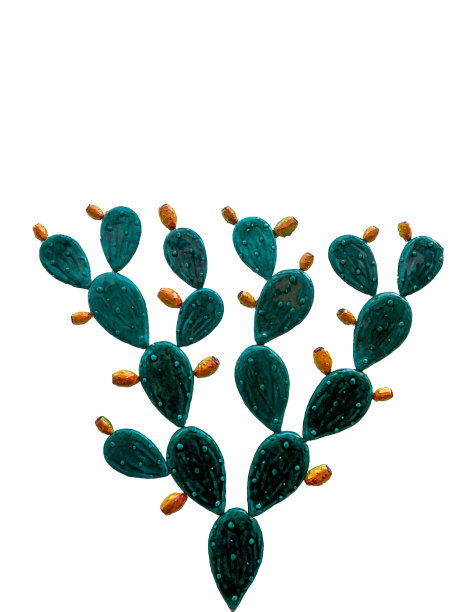 孤立的绿色仙人掌插图图片下载