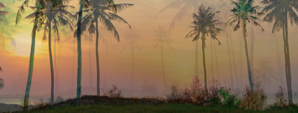 落日背景下的棕榈树图片下载