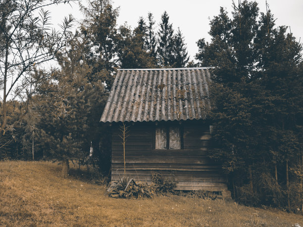 森林里的老木屋，复古复古照片，旧窗帘图片下载
