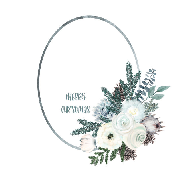 椭圆形框架的水彩冬季花，冷杉球果，云杉和桉树树枝;圣诞贺卡设计图片下载