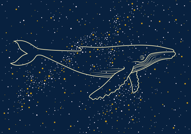 可爱的鲸鱼在夜空中游泳图片下载