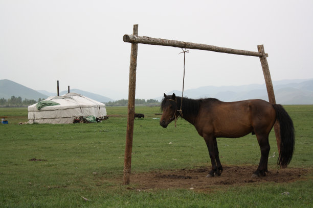 在蒙古中部的阿尔汉盖，游牧生活的一个安静的夜晚。图片下载