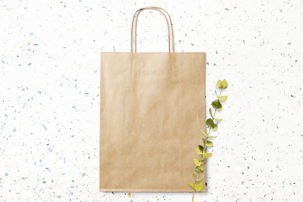 清洁最小的纸袋模型顶部大理石与树叶图片下载