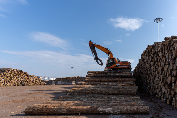 木桩上的叉机正在搬运木材图片下载