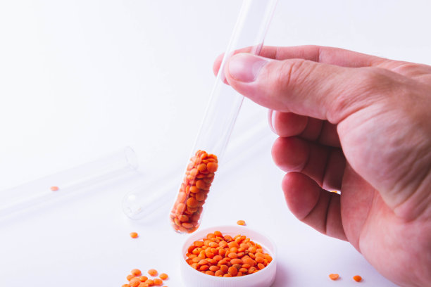 科学家检查种子。检查植物是否有病害。播种前的种子检查。图片下载