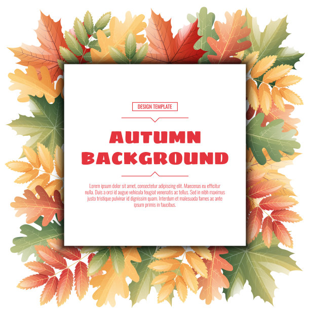 方形框架与秋天枫叶罗文叶图片下载