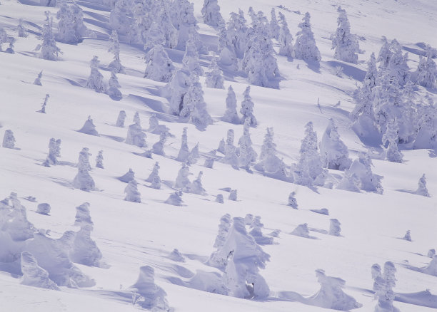 一个雪山图片下载
