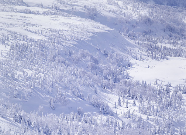 一个雪山图片下载