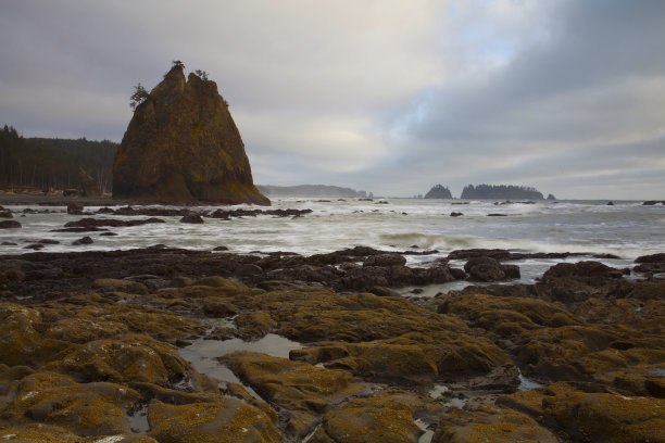 在奥林匹克国家公园里的里阿尔托海滩，在退潮时戏剧性的海柱和岩石海滩图片下载